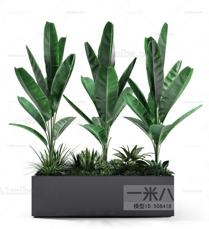 Modern Potted Green Plant