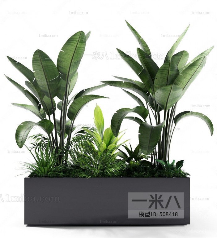 Modern Potted Green Plant