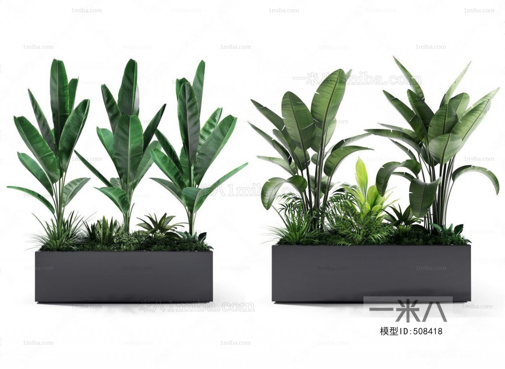 Modern Potted Green Plant