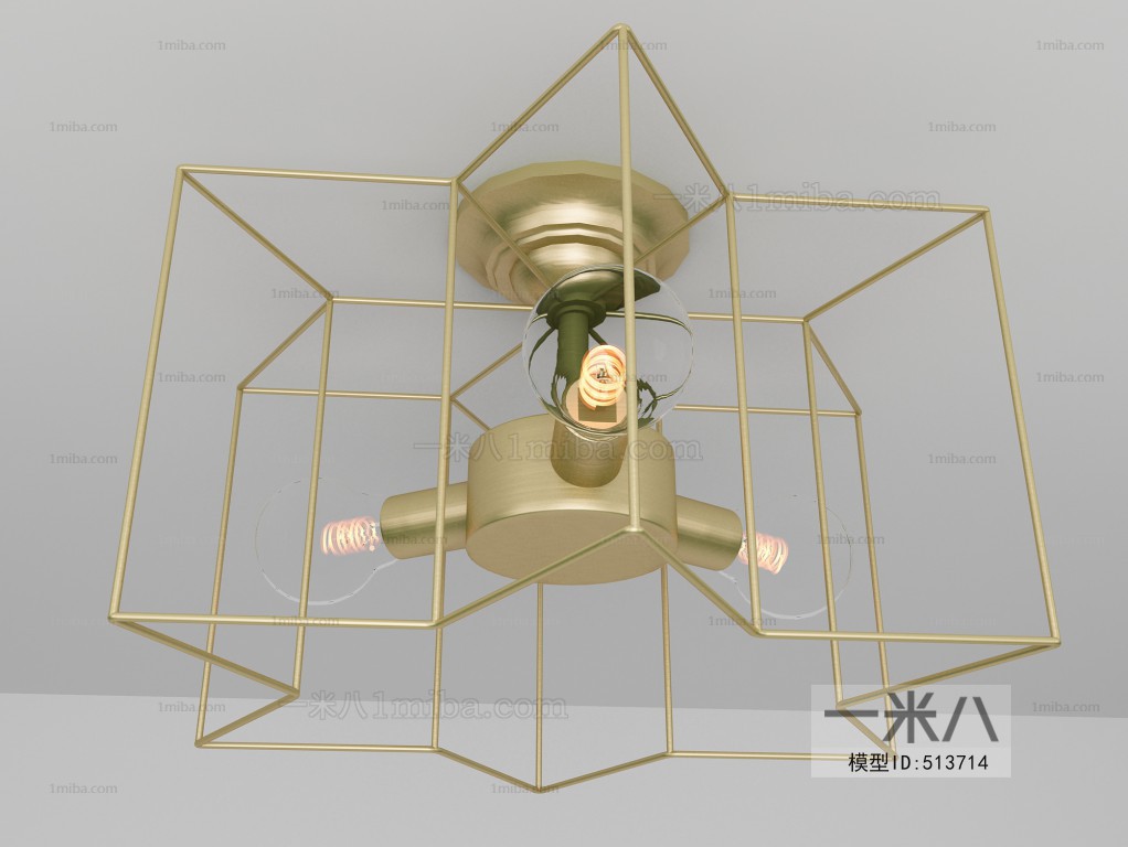 Modern Ceiling Ceiling Lamp