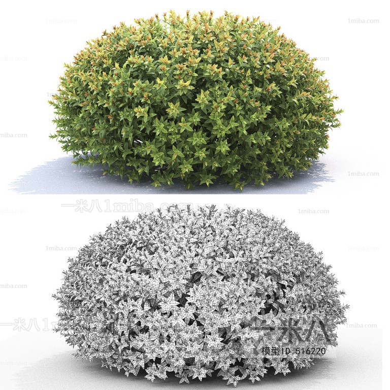 Modern Shrubbery