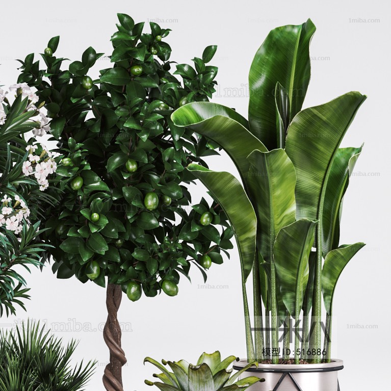 Modern Potted Green Plant