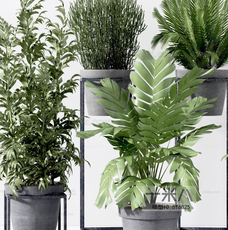 Modern Potted Green Plant