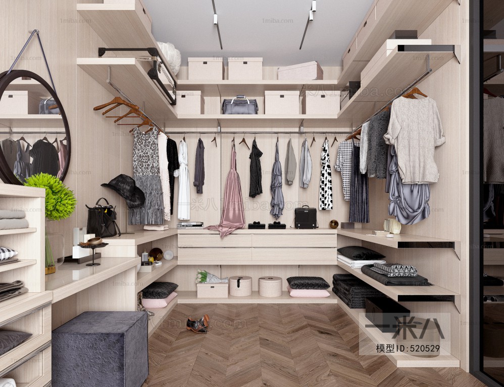 Modern Clothes Storage Area