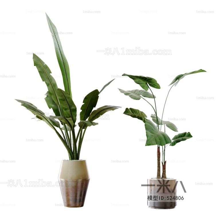 Modern Potted Green Plant