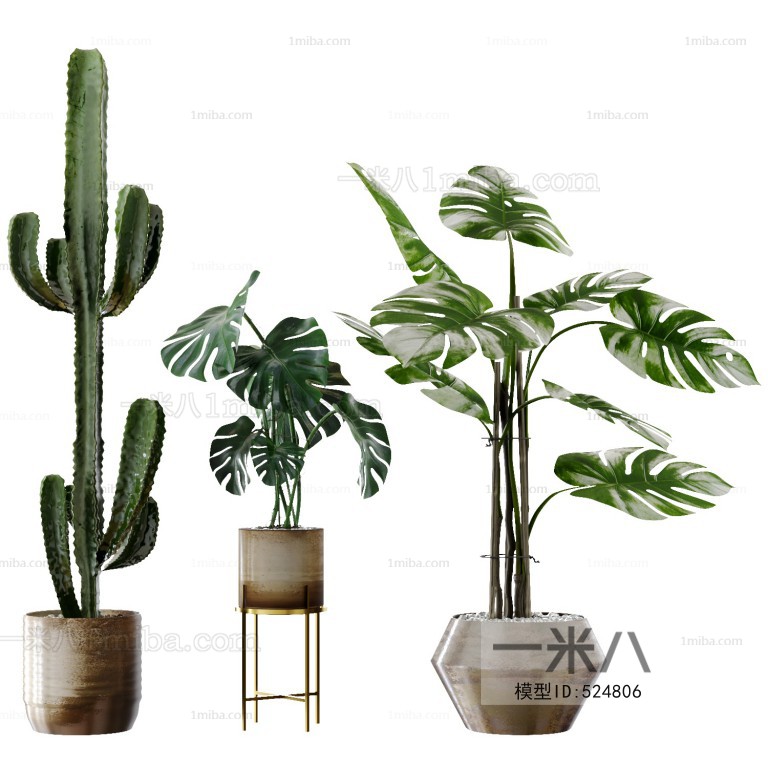 Modern Potted Green Plant