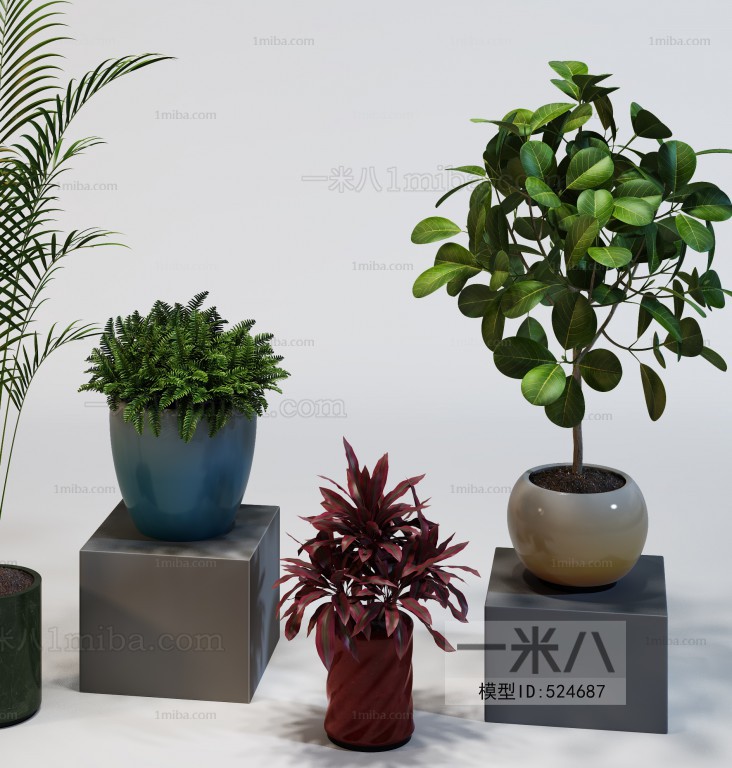 Modern Potted Green Plant