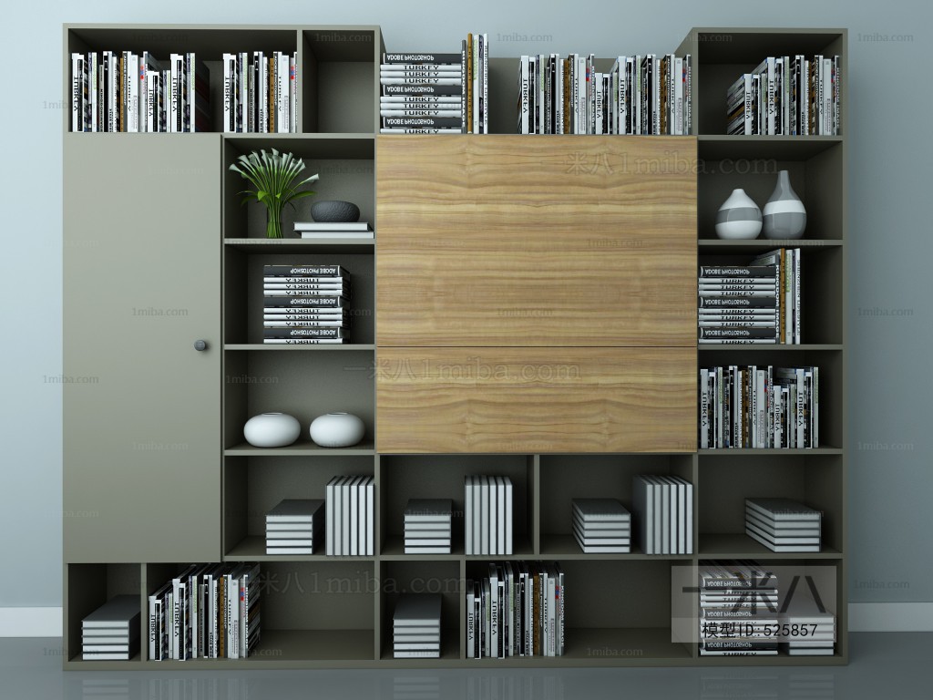 Modern Bookcase