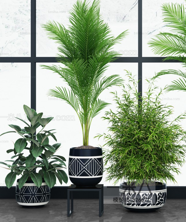 Modern Potted Green Plant