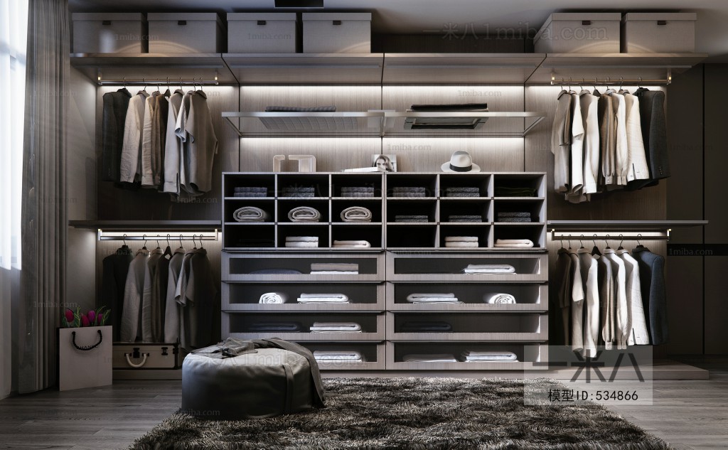 Modern Clothes Storage Area