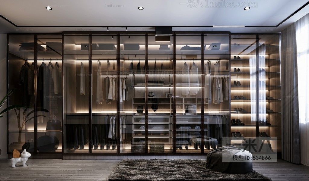 Modern Clothes Storage Area