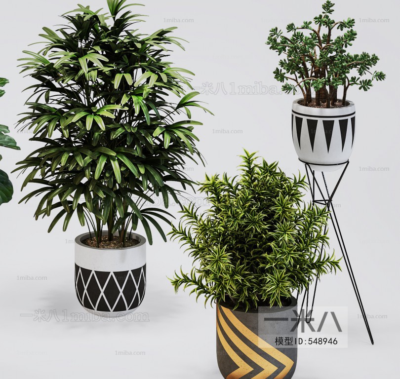 Modern Potted Green Plant