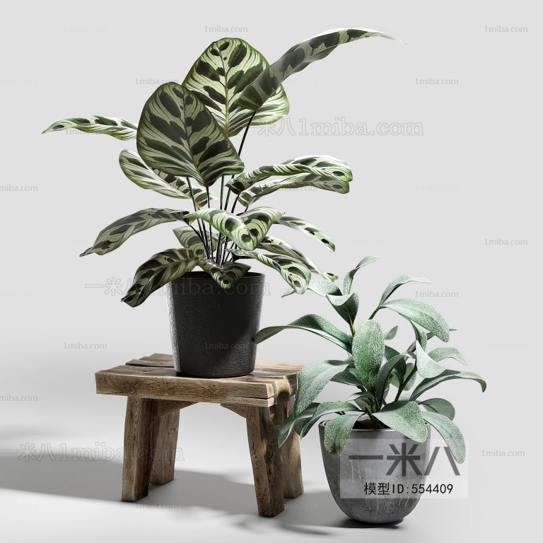 Modern Potted Green Plant