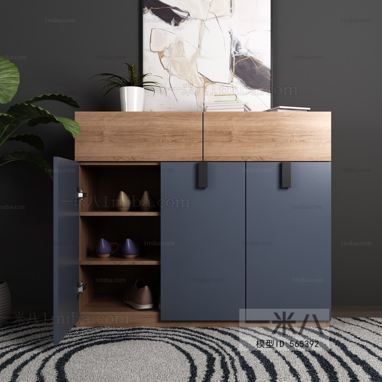 Modern Shoe Cabinet