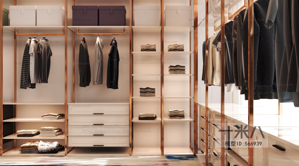 Modern Clothes Storage Area