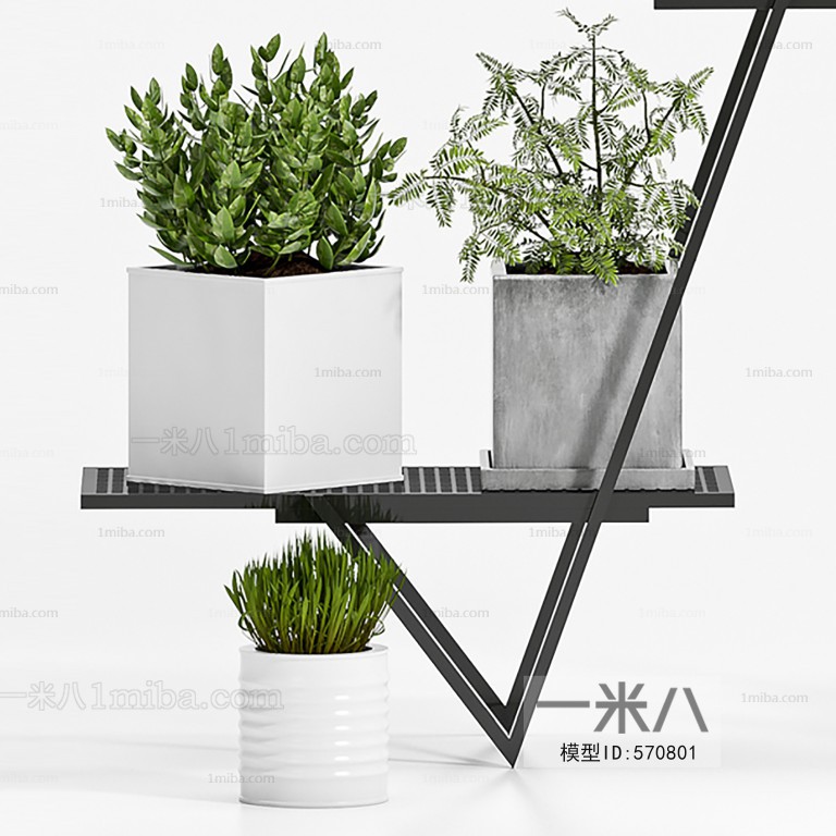 Modern Potted Green Plant