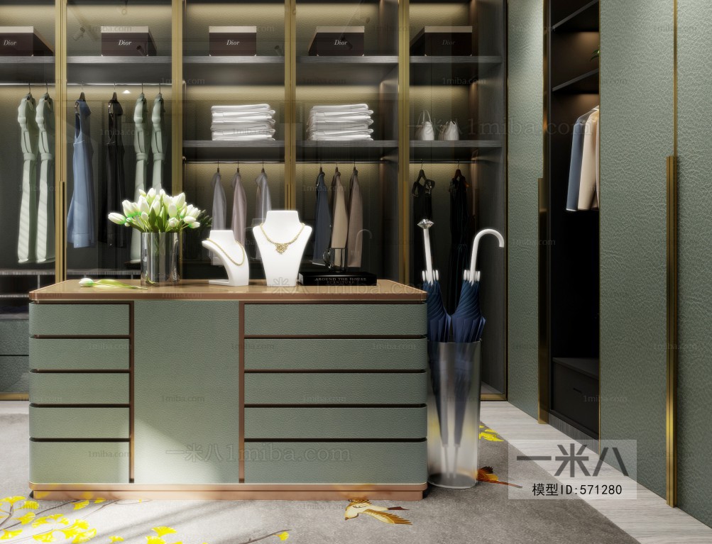 Modern Clothes Storage Area