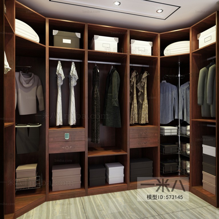 Modern Clothes Storage Area