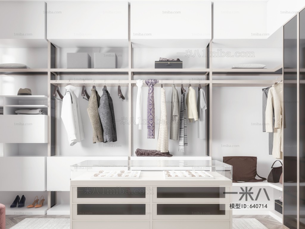 Modern Clothes Storage Area