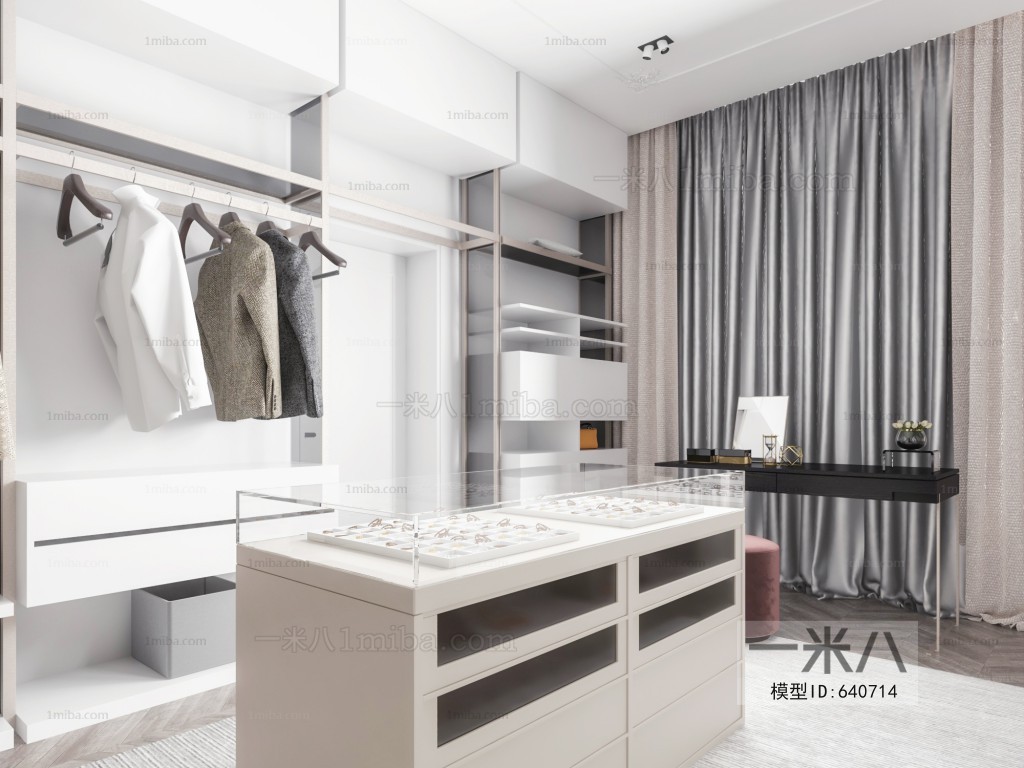 Modern Clothes Storage Area