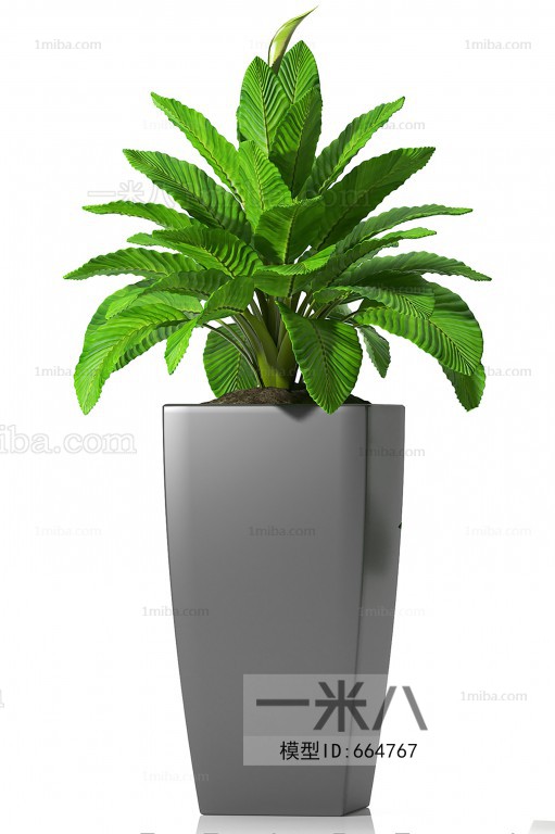 Modern Potted Green Plant