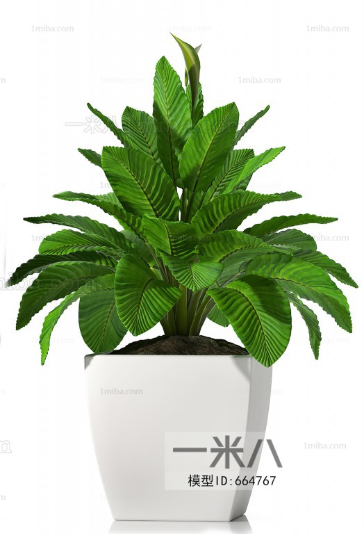 Modern Potted Green Plant