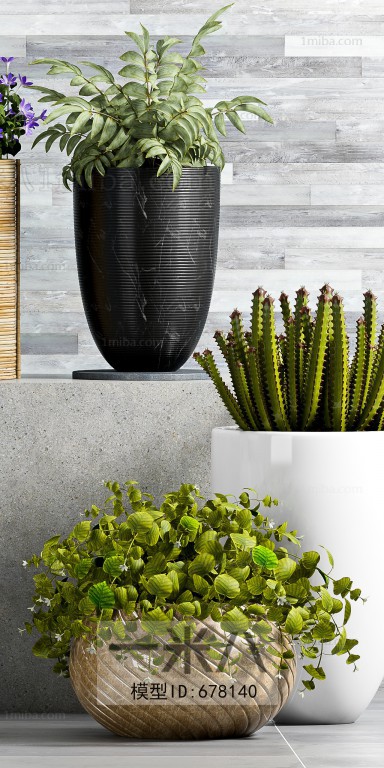 Modern Potted Green Plant