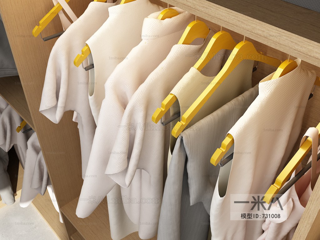 Modern Clothes Storage Area