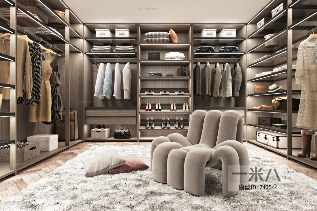 Modern Clothes Storage Area