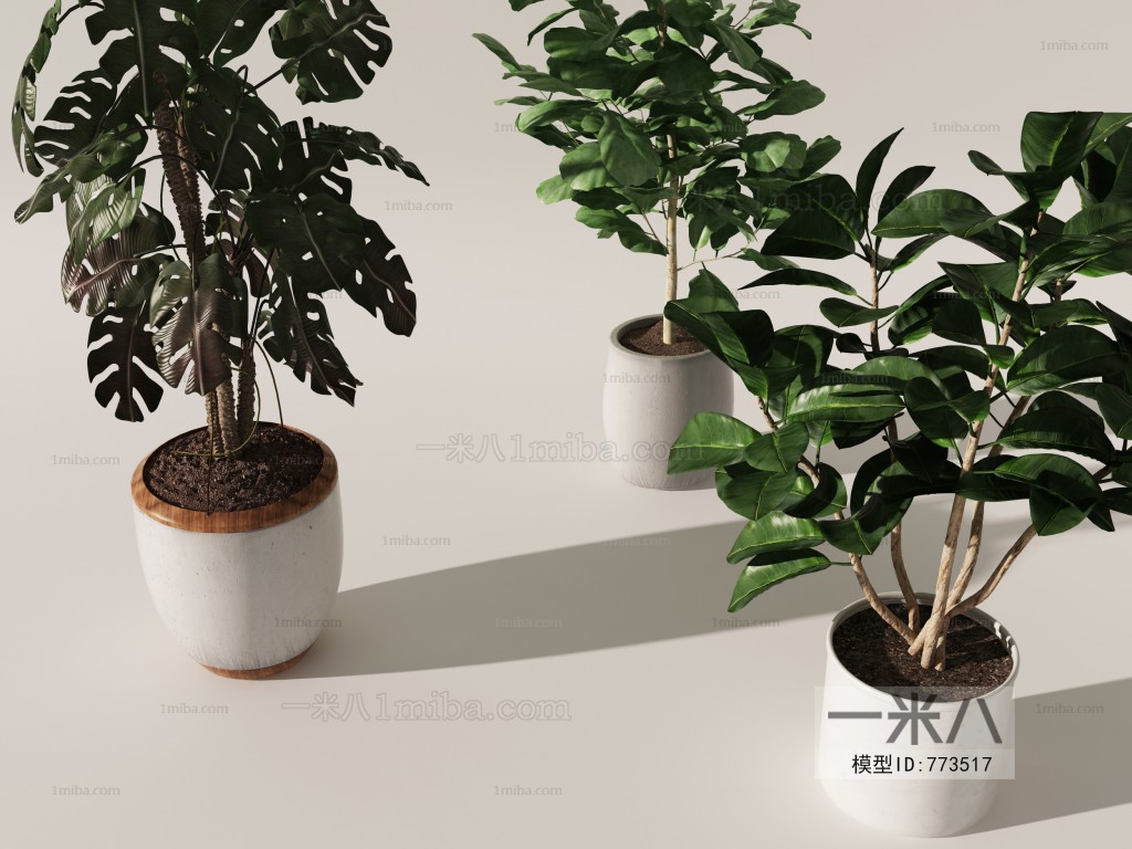 Modern Potted Green Plant