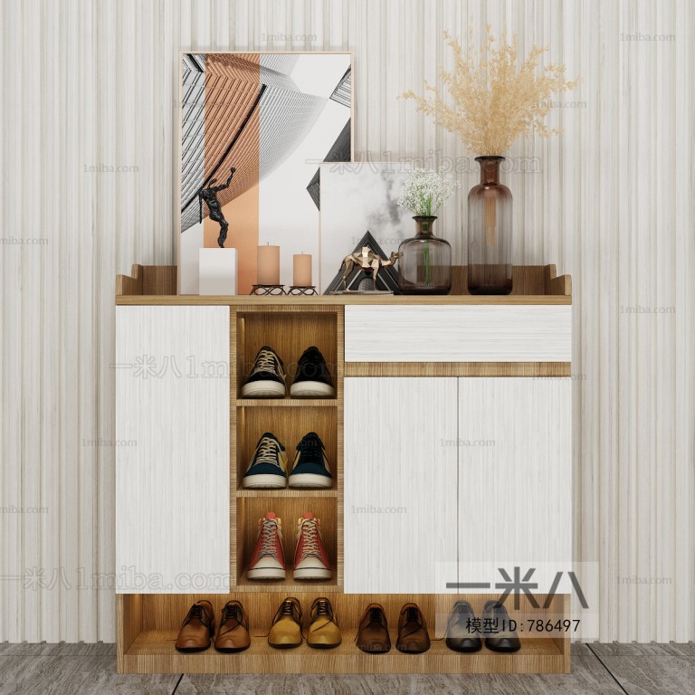 Modern Shoe Cabinet