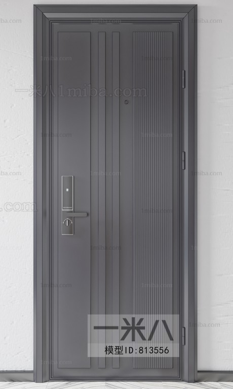 Modern Entrance Door