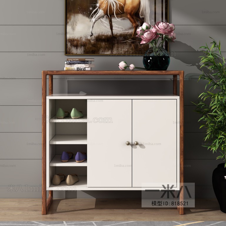 Modern Shoe Cabinet