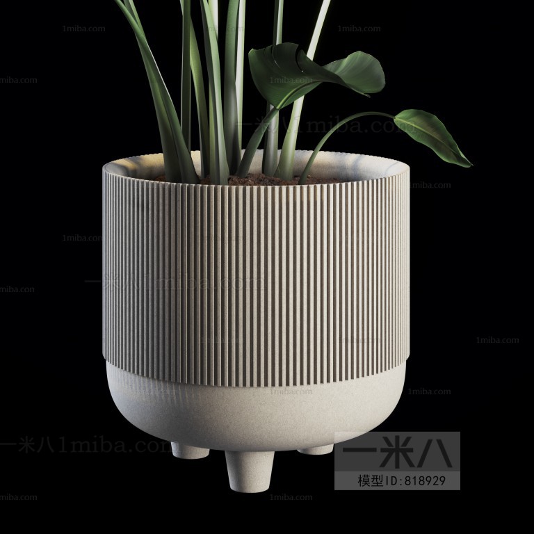 Modern Potted Green Plant