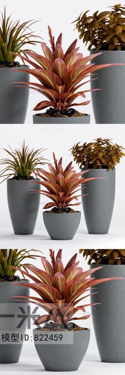 Modern Potted Green Plant