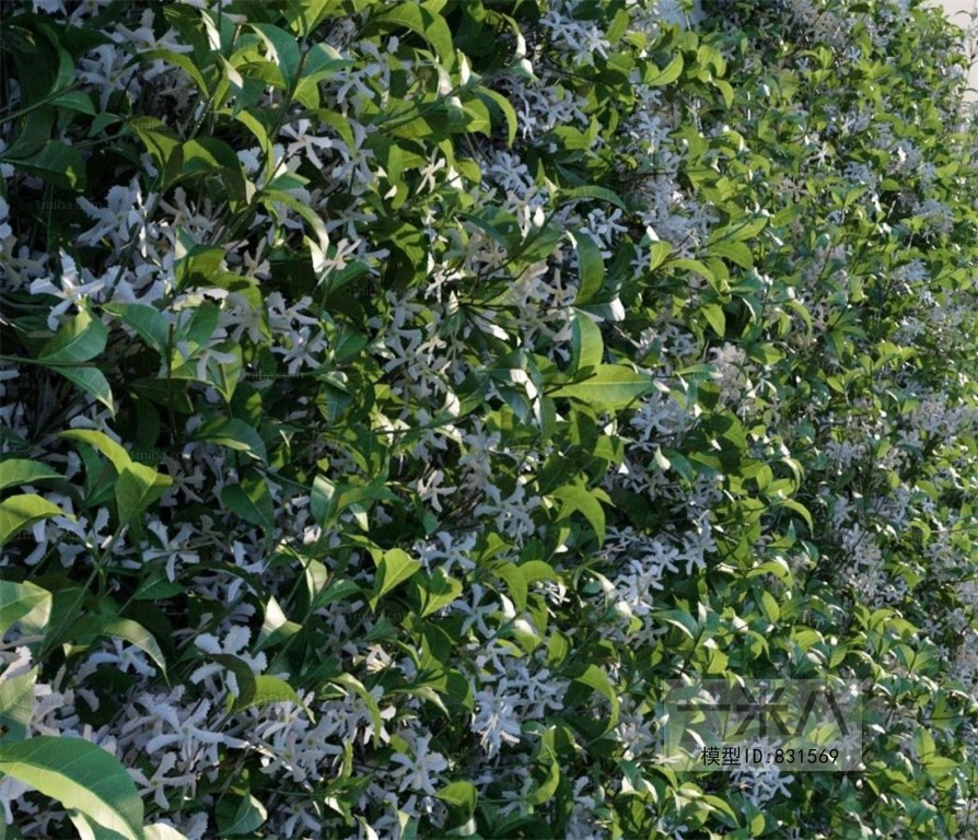 Modern Plant Wall