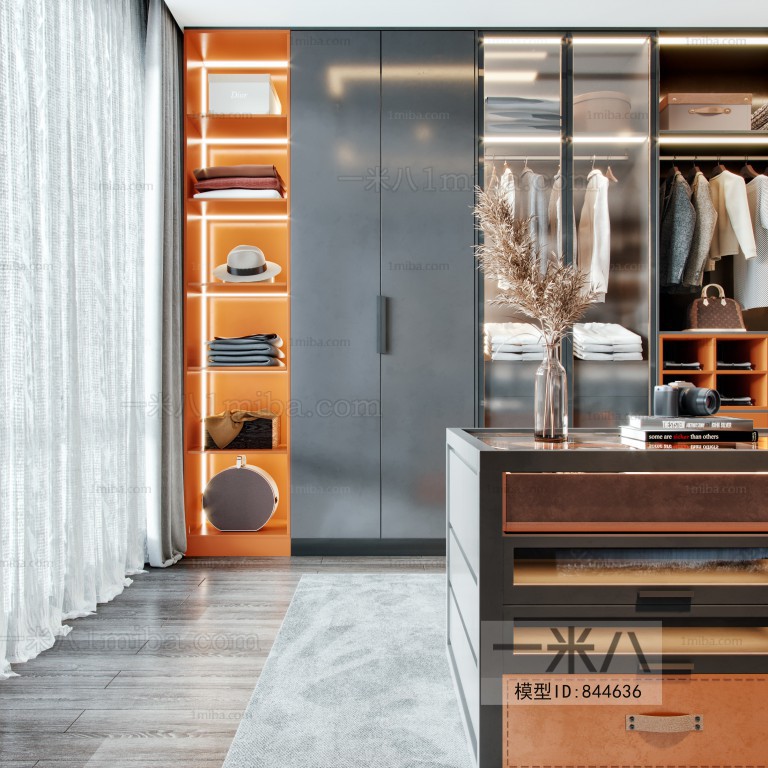 Modern Clothes Storage Area