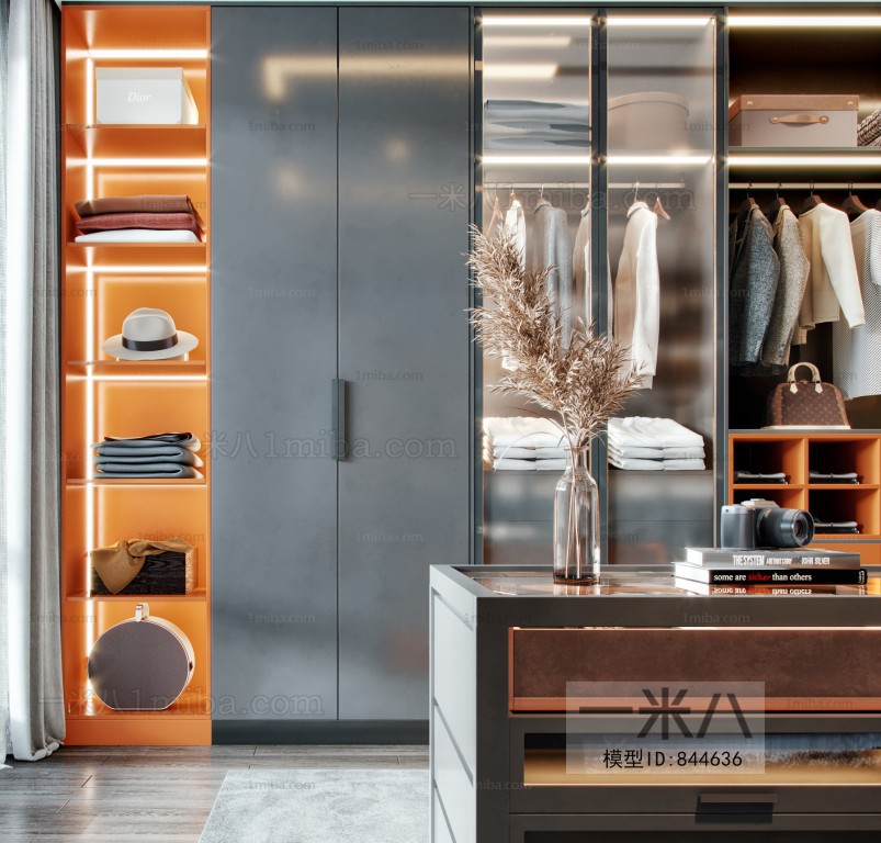 Modern Clothes Storage Area