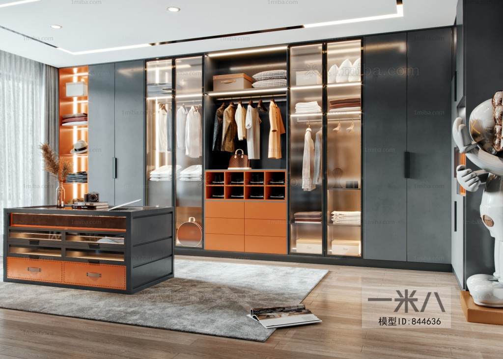 Modern Clothes Storage Area