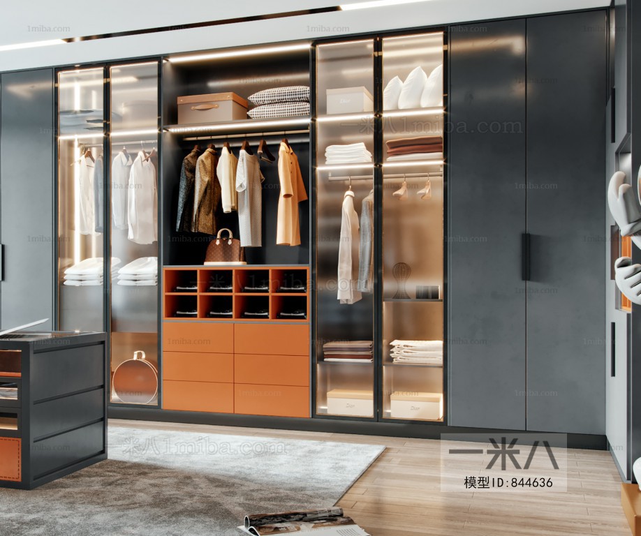 Modern Clothes Storage Area