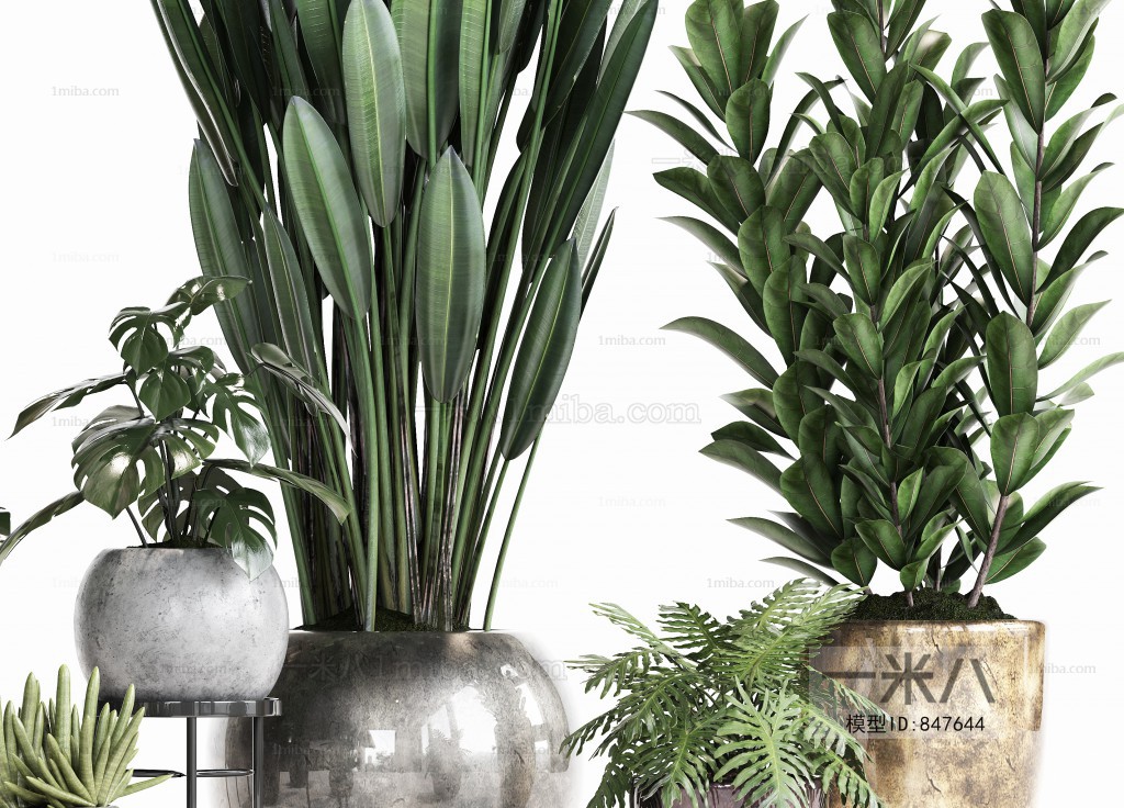 Modern Potted Green Plant