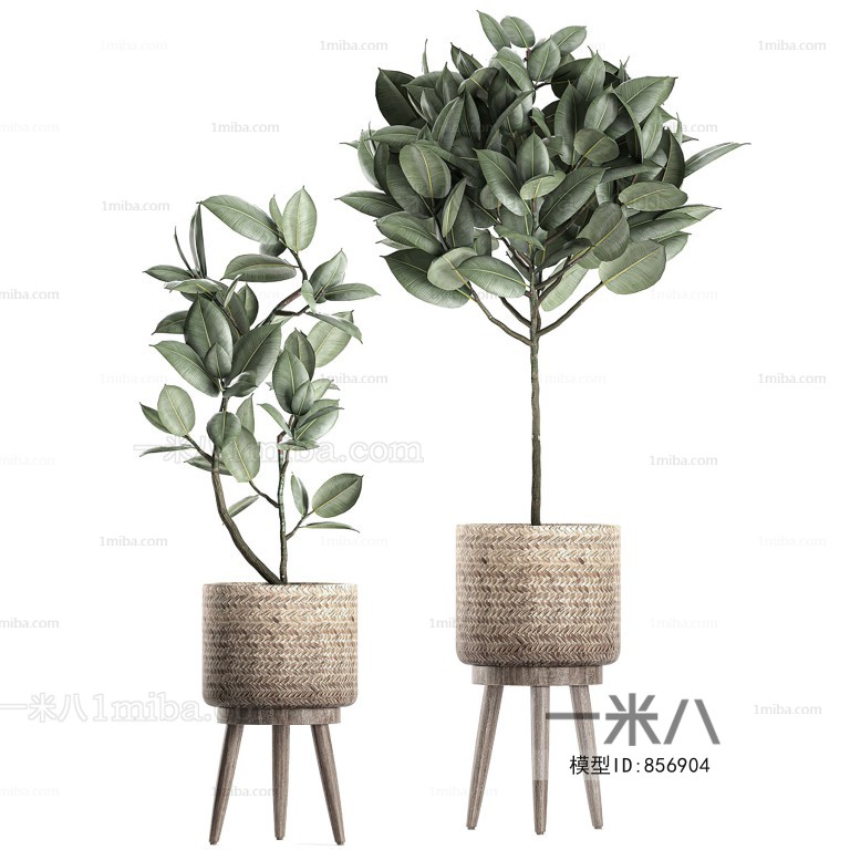 Modern Potted Green Plant