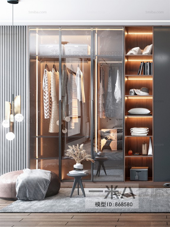 Modern Clothes Storage Area