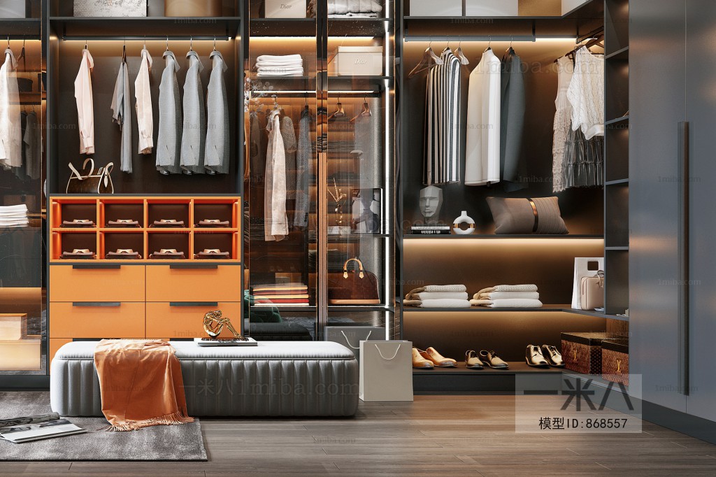 Modern Clothes Storage Area