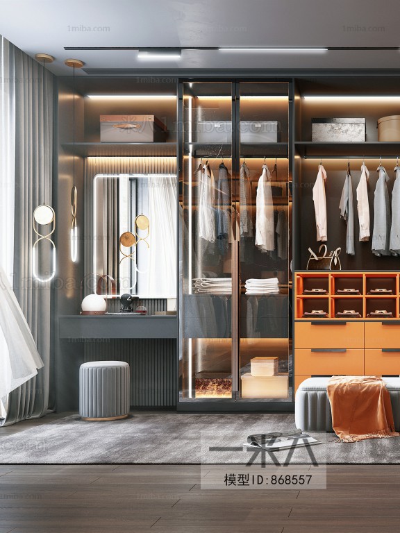 Modern Clothes Storage Area