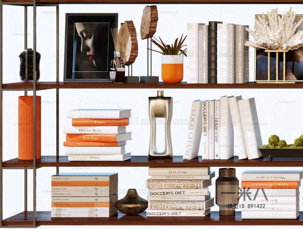 Modern Bookshelf