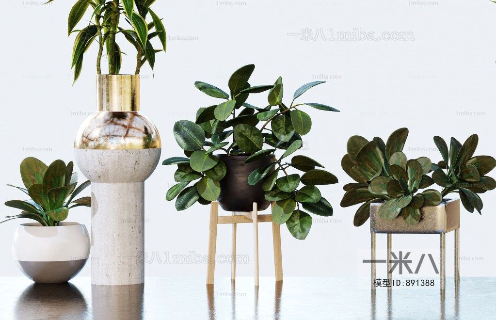 Modern Potted Green Plant