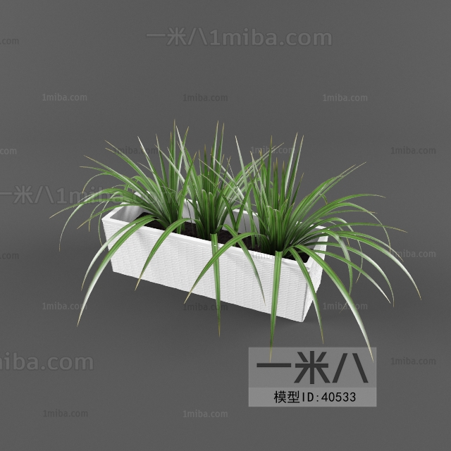 Modern Potted Green Plant