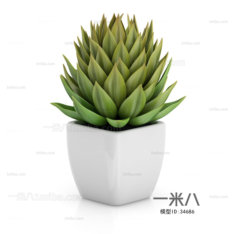 Modern Potted Green Plant