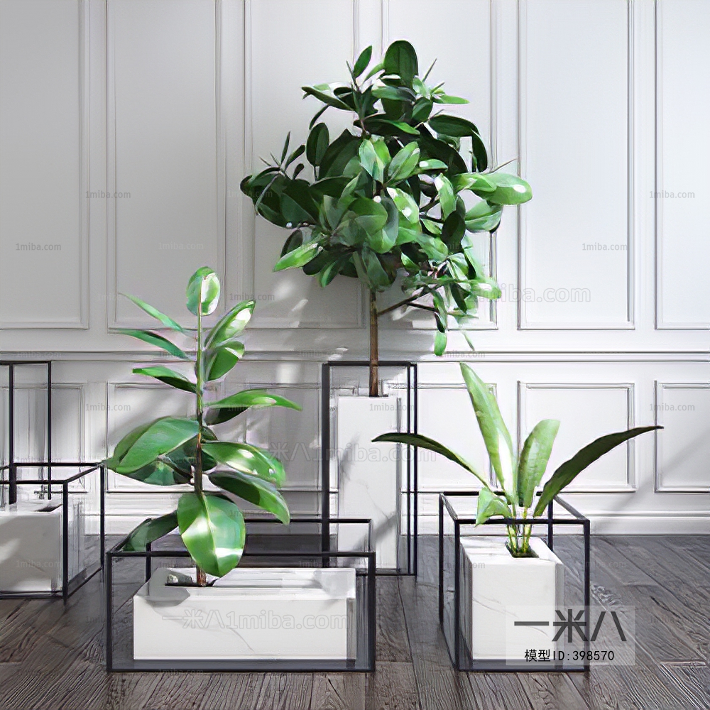  Potted Green Plant